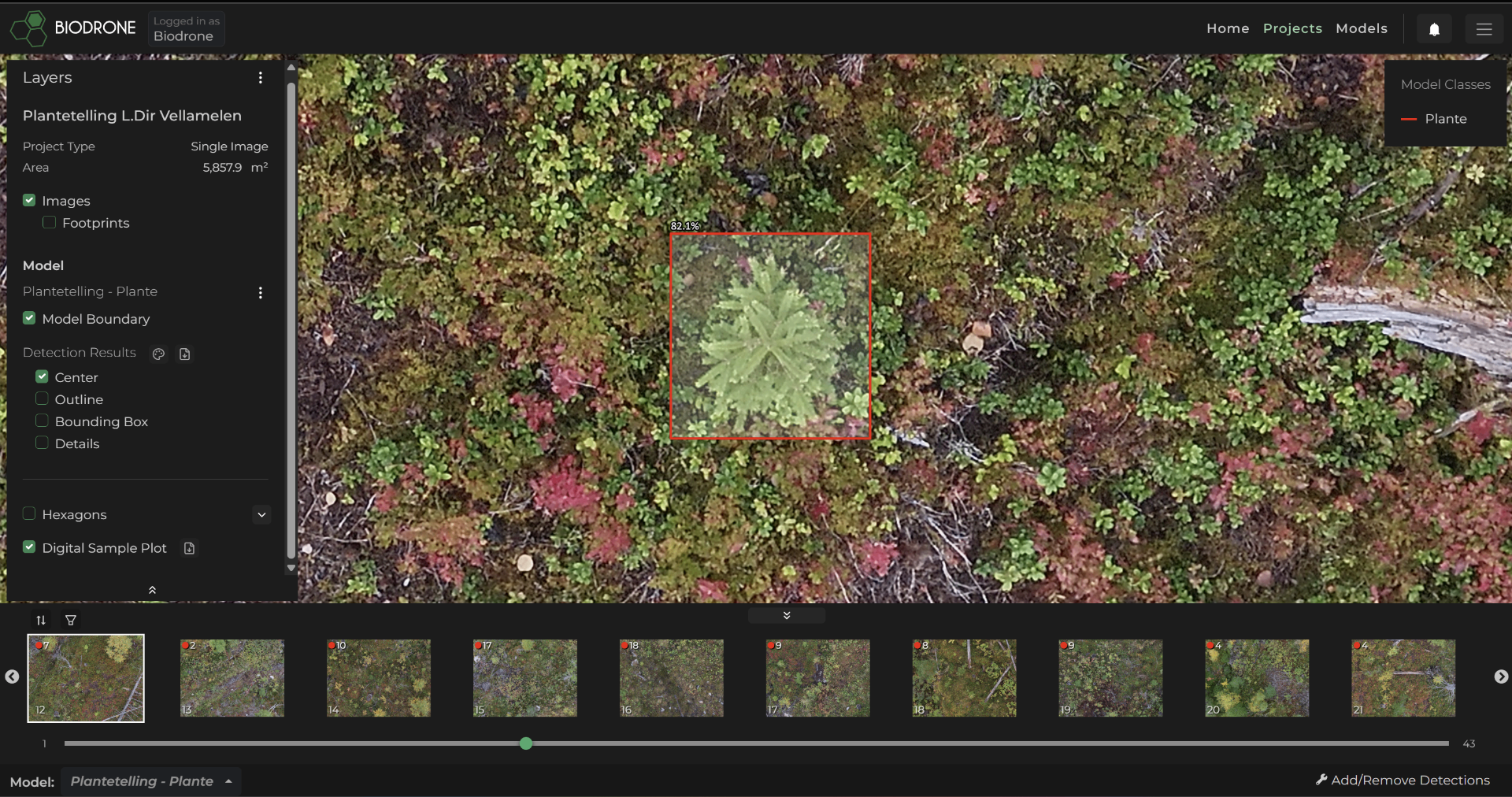 See Tree Program Forestry Made Easier | Biodrone | Biodrone.ai